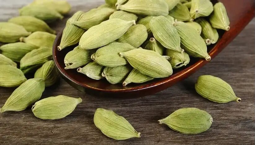 هل، سپر بلای دندان‌