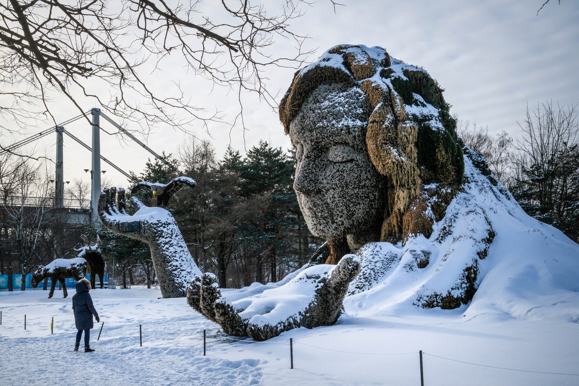 عکس‌/ تصاویر روز خبری جهان