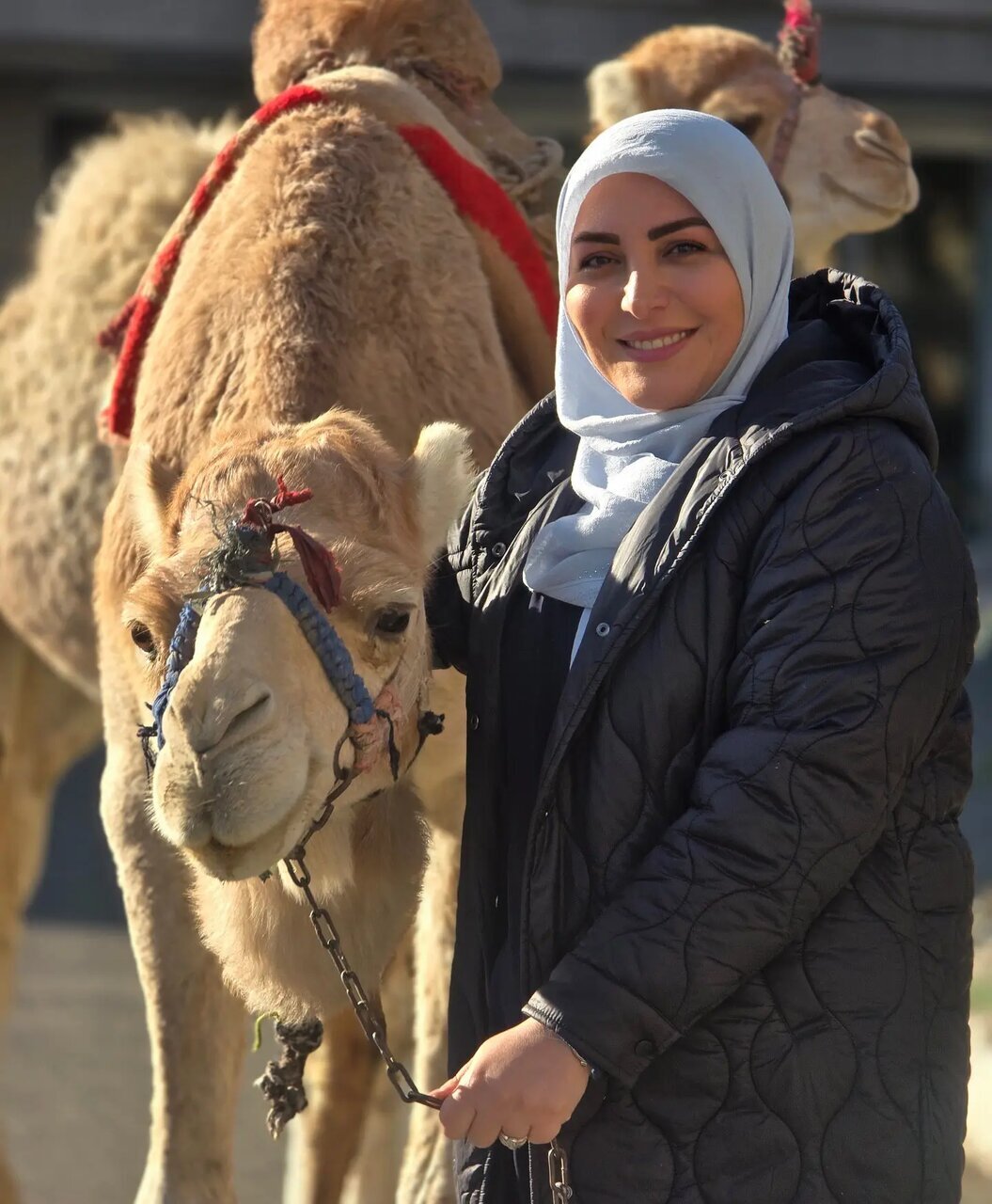 المیرا شریفیمقدم در کنار یک شتر عکس گرفت و شعر نوشت! | ببینید