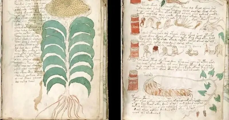 ادعای تازه در مورد مرموزترین کتاب جهان!