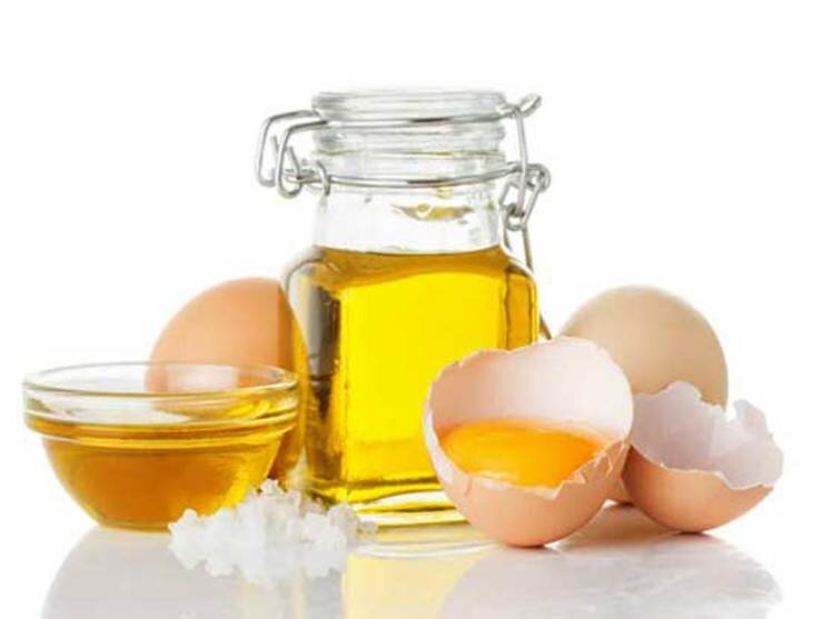 خلاصه اخبار ۱۶ دی مجلس؛ پاسخ قانع کننده وزیر اقتصاد/اعتراض به قیمت روغن و تخممرغ