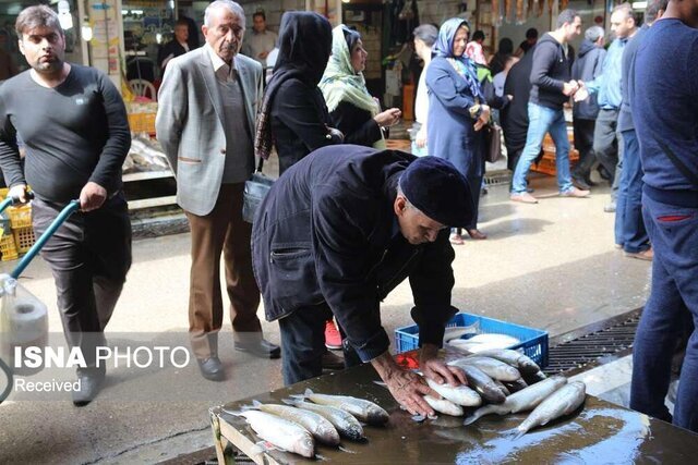 هشدار دامپزشکی زنجان نسبت به خرید ماهی از دستفروشان
