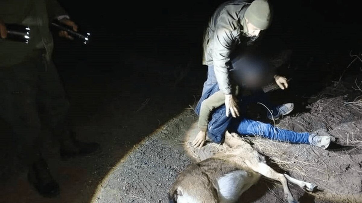شکارچی بز کوهی در شهرستان کوثر اردبیل دستگیر شد