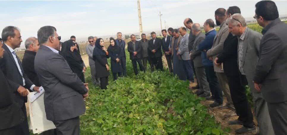 تمرکز بر روشهای پایدار مبارزه با انگل گل جالیز در طرح پایلوت کشوری دهلران