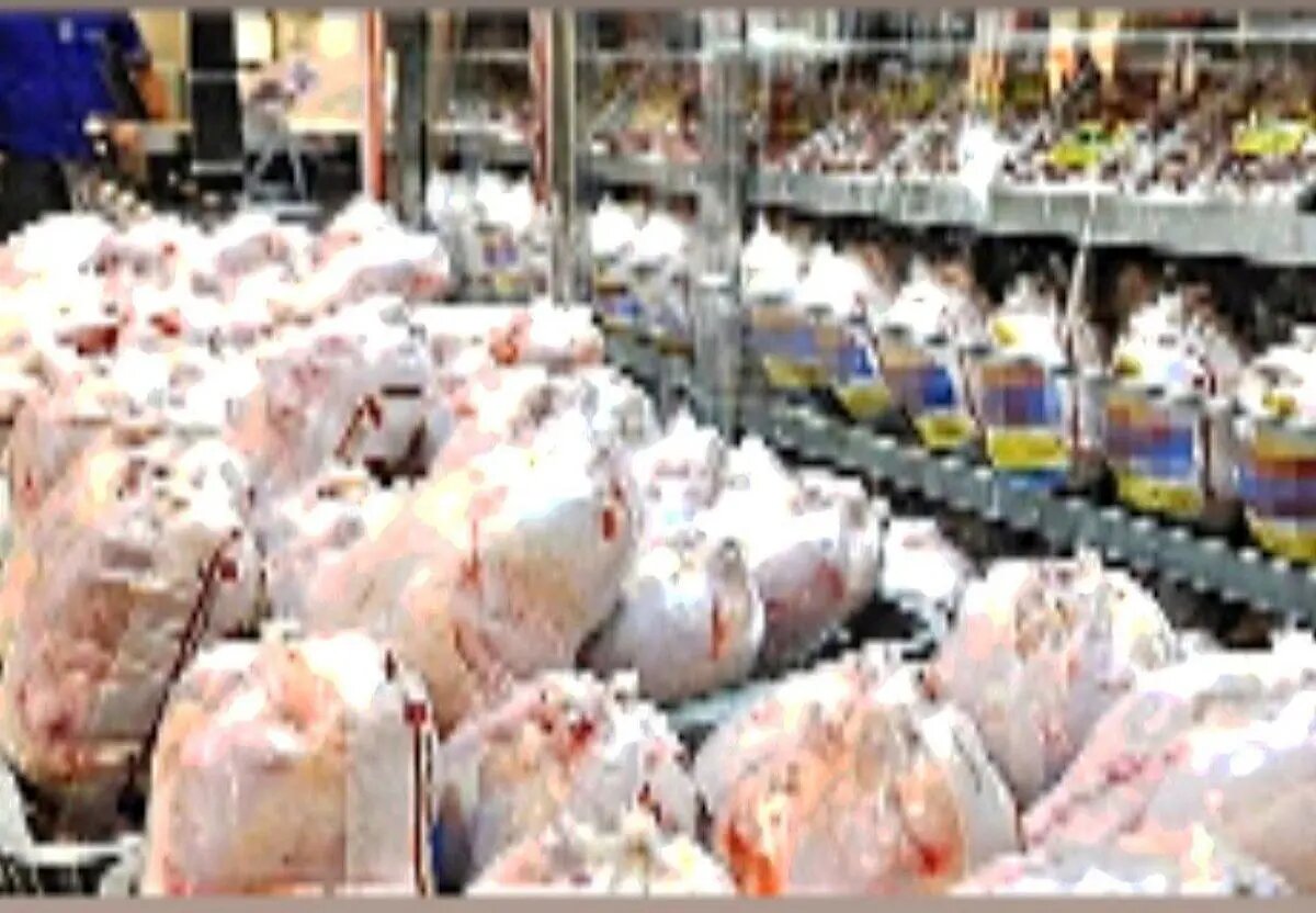 انبار ۴۰ تن مرغ احتکارشده در سردخانه ایوان لو رفت
