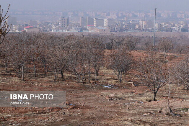 تشریح پروژههای شهرداری تبریز/ از مقبرالشعرا تا سنگ فرش خیابان ثقهالسلام