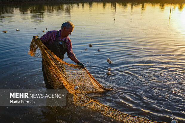 نیازی: احیای آب‌بندان‌های مازندران ۳ تا ۴ هزار میلیارد تومان نیاز دارد