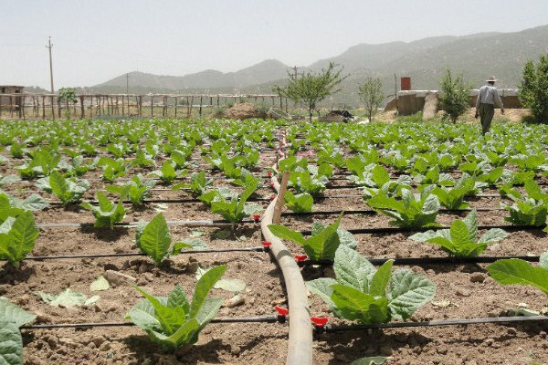 فاز اول آبرسانی به دشت سیروان ۸۰ درصد اجرایی شد