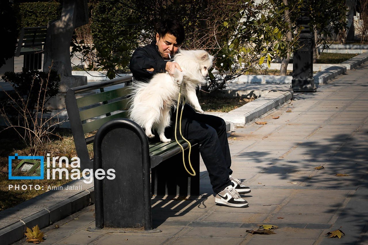 یک استراحت کوتاه