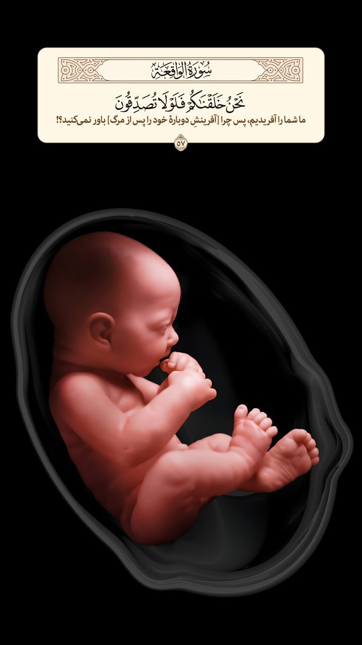 طرح/ آفرینش دوباره پس از مرگ