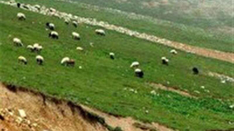 تشکیل ۶۰۰ فقره پرونده در حوزه تخلفات منابع طبیعی در استان زنجان