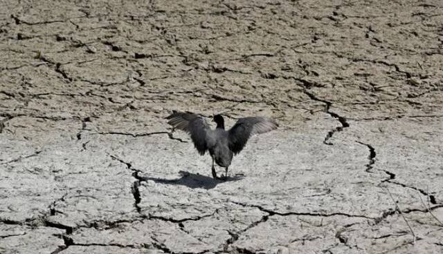 گرفتاری تهران در سه خشکسالی عمیق