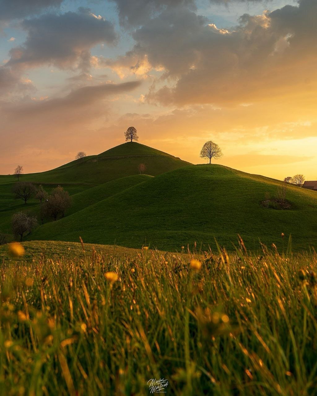 تصاویری از طبیعت زیبای سوئیس