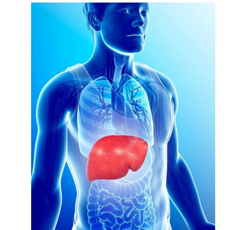 ارتباط عجیب کبد چرب با گردن درد