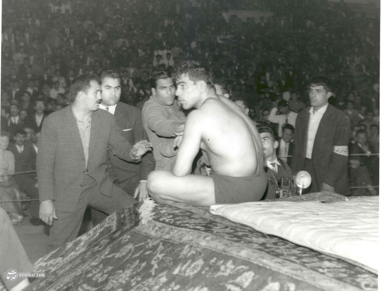 عکس های تماشایی از جهان پهلوان تختی که تاکنون ندیدهاید!