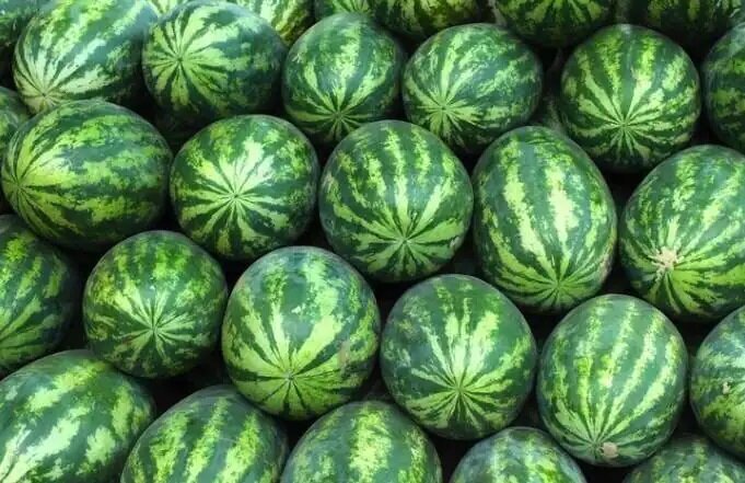 این خوراکی‌ها را هرگز در یخچال نگذارید