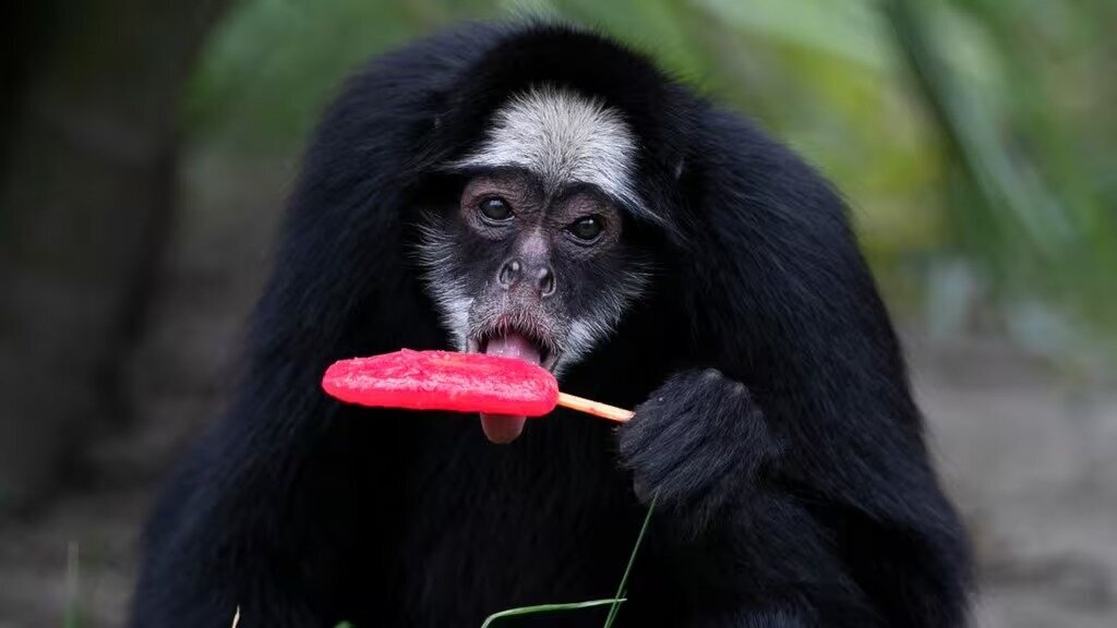 تابستان و زمستان دو روی سکه زمین!