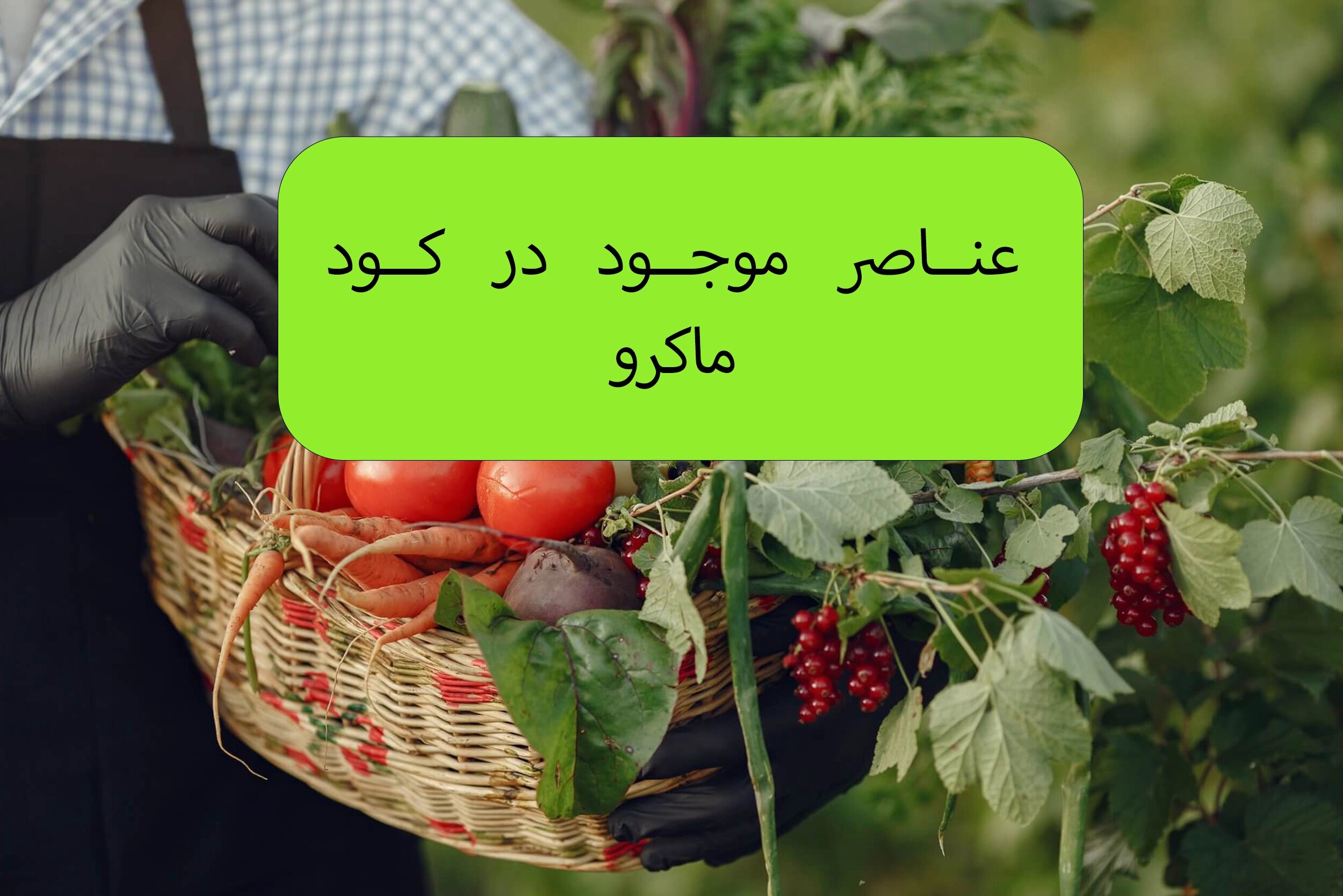 فواید مصرف کود ماکرو چیست؟
