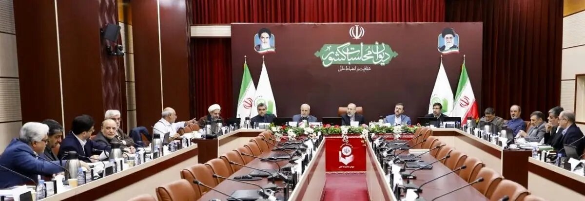 ورود دیوان محاسبات به پرداخت‌های نامتعارف