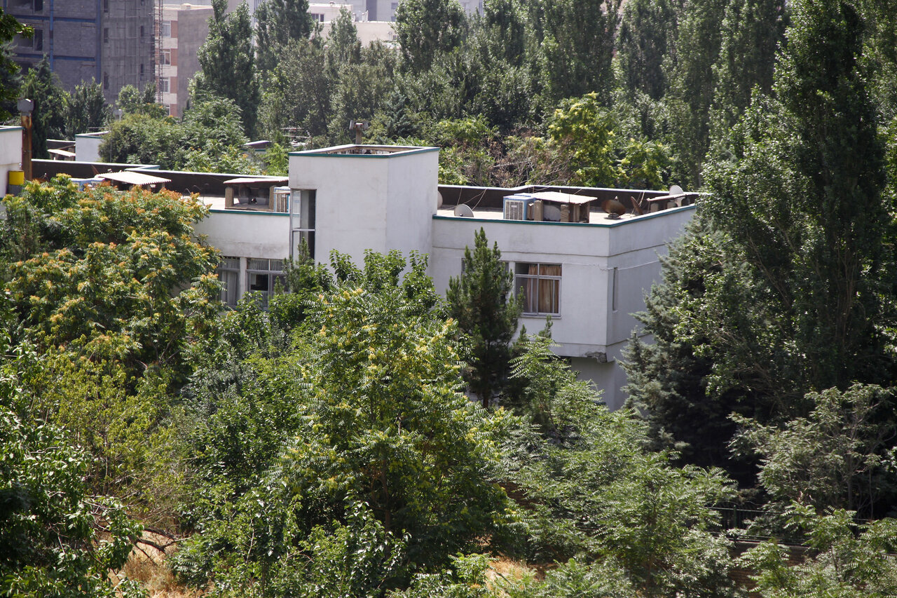 طرح جامع فضای سبز تهران در مرحله نهایی شدن