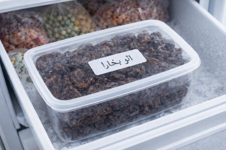 روش نگهداری آلو بخارا در فریزر؛ ماندگاری طولانی با طعم ثابت