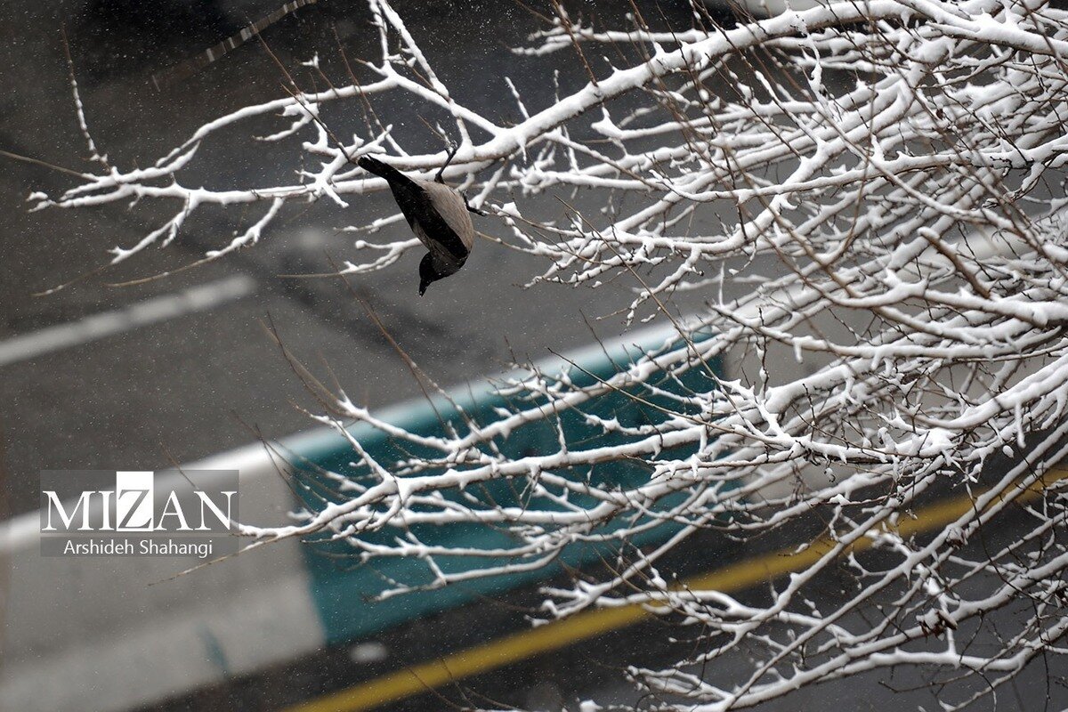 ورود سامانه جدید بارشی از غرب/ برف و باران در انتظار ۲۰ استان