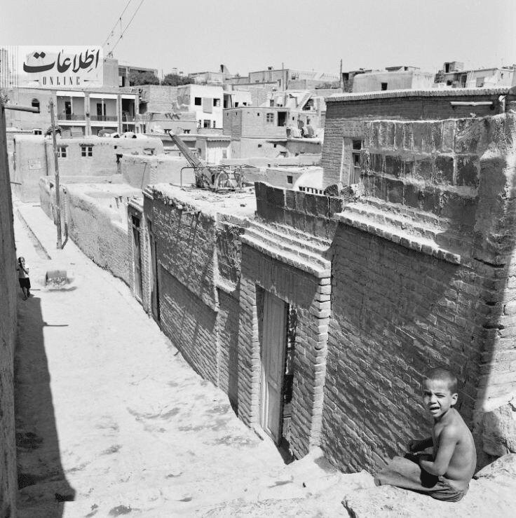 مردم ملخ می‌خوردند و دولت دلار می‌بخشید؛ ناگفته‌های سقوط پهلوی