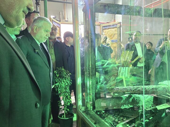 صالحی‌امیری: هتک حرمت حرم سبزقبا چهره واقعی دشمنان ایران را آشکار کرد