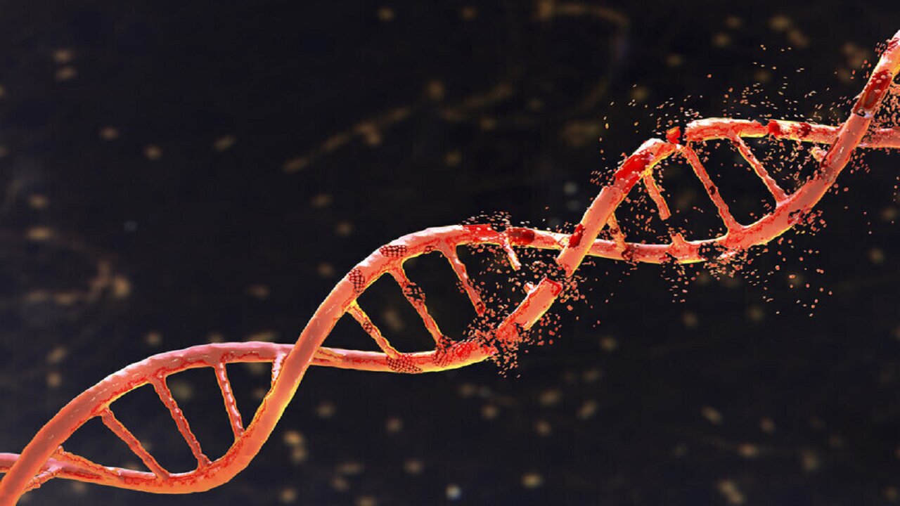 قابلیت جدید گوگل برای رمزگشایی ژنوم انسان و تجزیه و تحلیل جهشهای ارثی