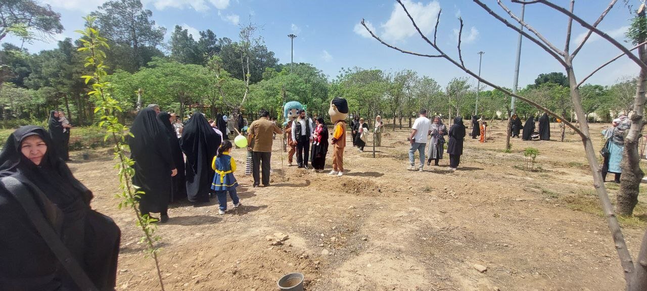 کاشت یک میلیارد درخت تا پایان سال