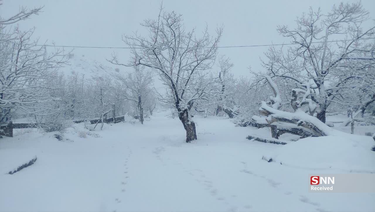 افزایش ۹۶ درصدی بارشها در خراسان جنوبی
