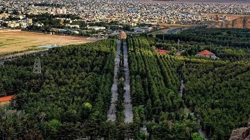 دختری که گوشواره هایش را فروخت تا جنگل متولد شود | قصه یک جنگل دست‌ کاشت در کرمان