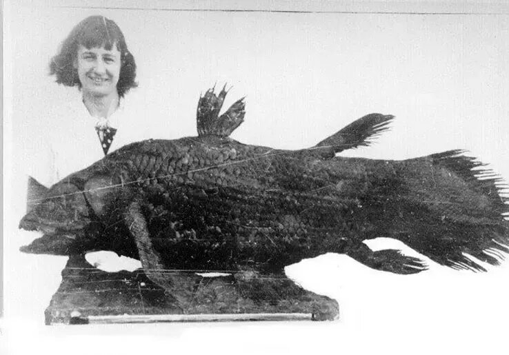 کشف هیولایی که تصور میشد میلیونها سال قبل منقرض شده است | عکس