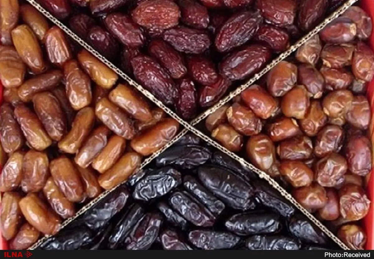 ذخیره‌سازی ۳ برابری خرما و ۲.۵ برابری میوه شب عید