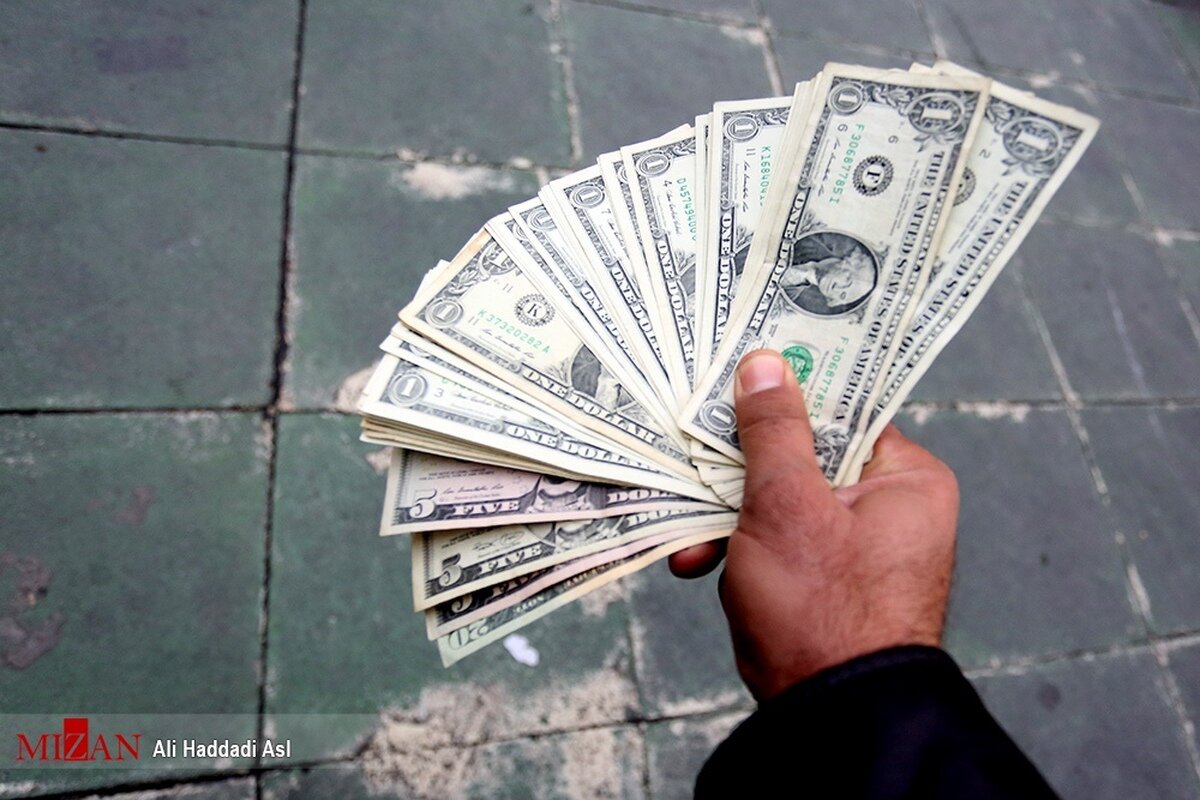 حذف ارز چندنرخی مانع هدررفت منابع ارزی و تضعیف تولید داخلی می‌شود