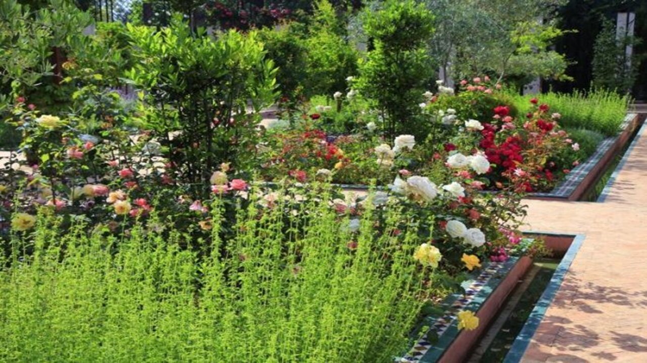 ۵ گیاهی که باغبانهای حرفهای در بهمنماه زودتر از همه میخرند