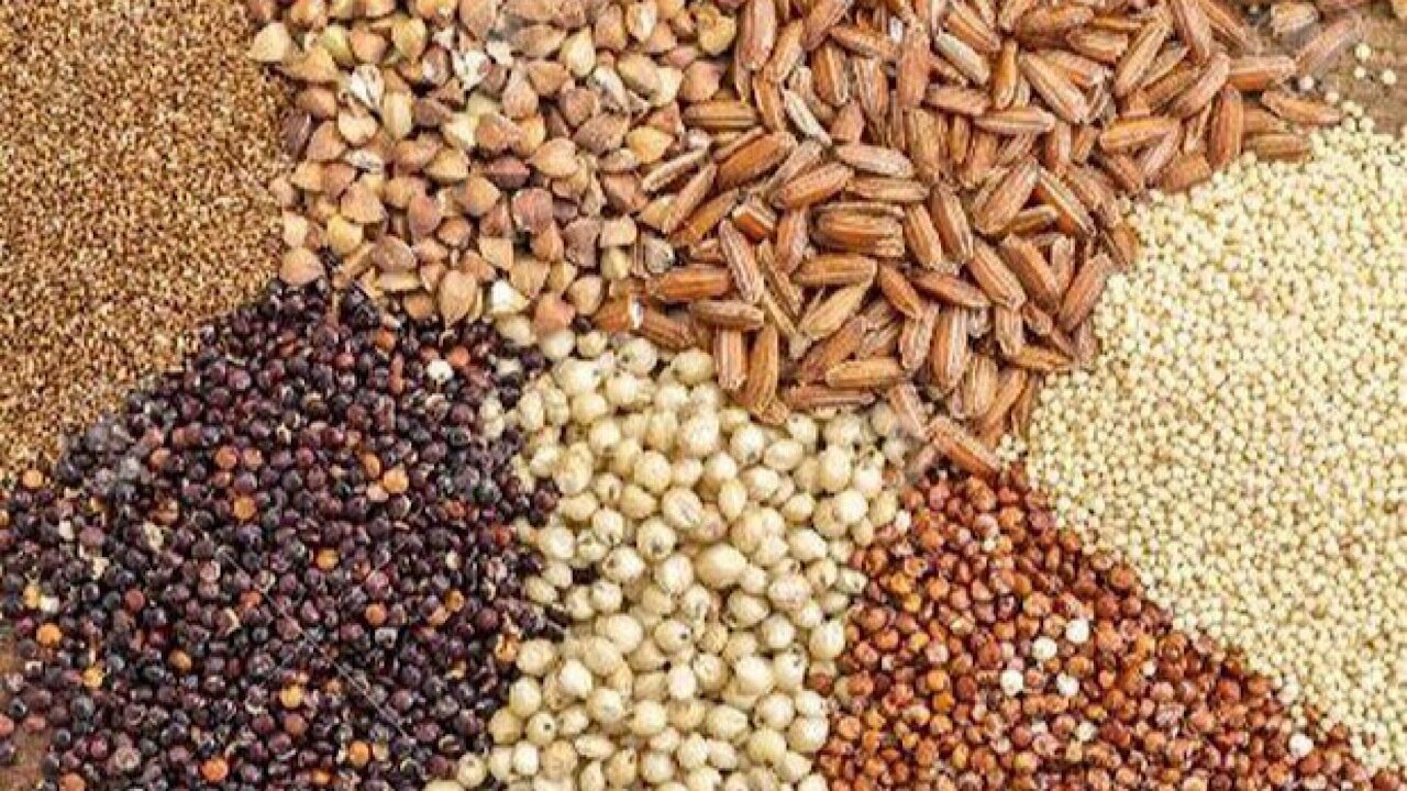 ابلاغ دستورالعمل تأمین ارز واردات نهادههای دامی در ازای پذیرش اوراق گام