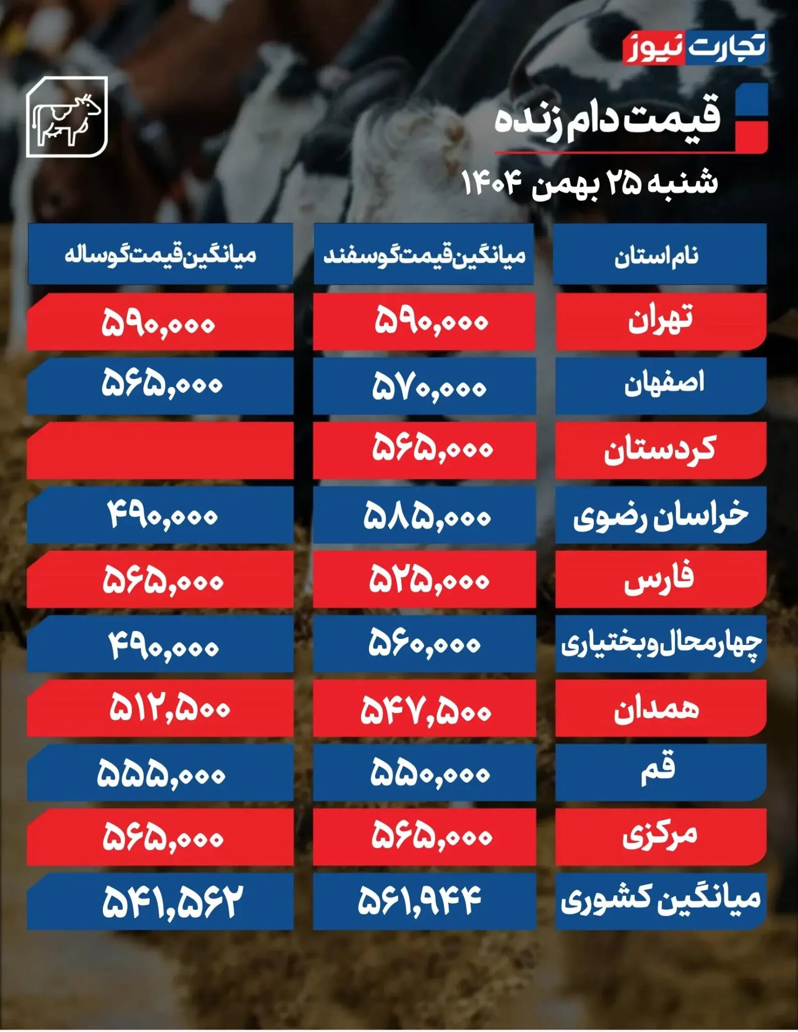قیمت دام زنده امروز ۲۵ بهمن ۱۴۰۴ + جدول