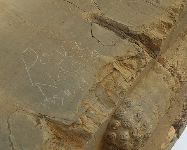 یادگارنویسی تازه در تخت جمشید؛ تخریب‌گران چگونه به دروازه ملل رسیدند؟