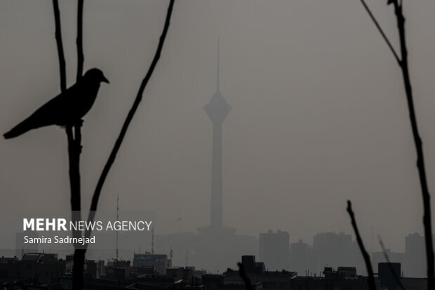 هوای تهران در مرز آلودگی است