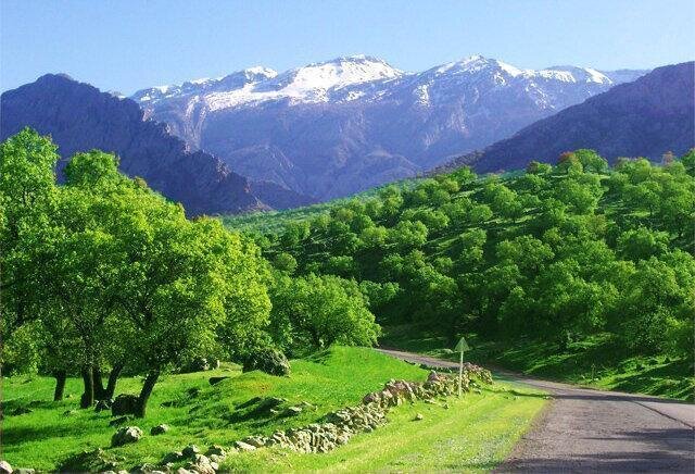 تداوم وزش باد گرم و پایداری هوا تا امشب در گیلان