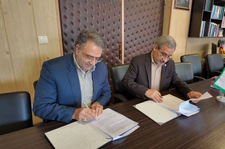 شهسواری: خدمات اورژانس اجتماعی بهزیستی در مدیریت بحران‌ها مؤثر است