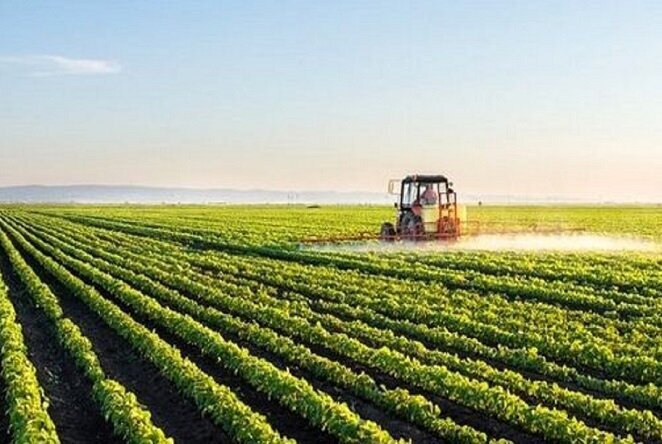 اجرای کشاورزی حفاظتی در بوشهر با هدف تابآوری مقابل تغییرات اقلیمی