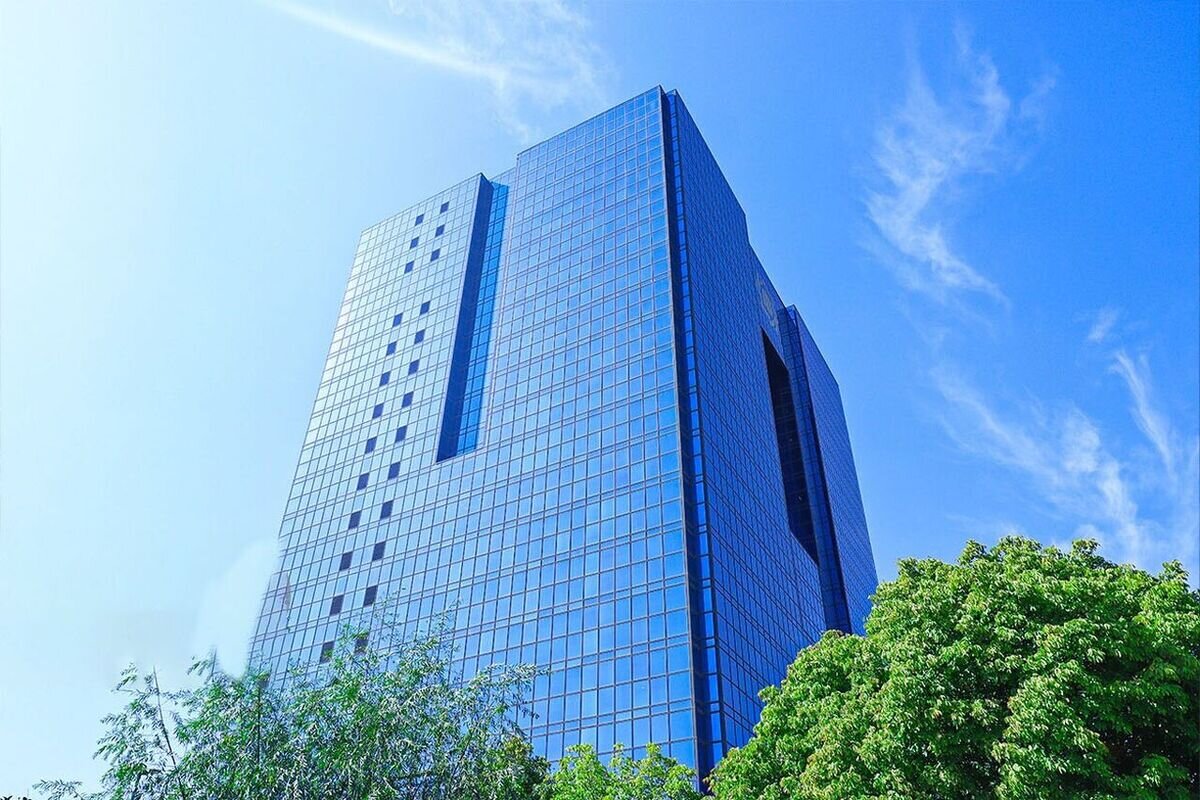 بانک مرکزی: مسئول قیمتگذاری خودرو سازمان حمایت است