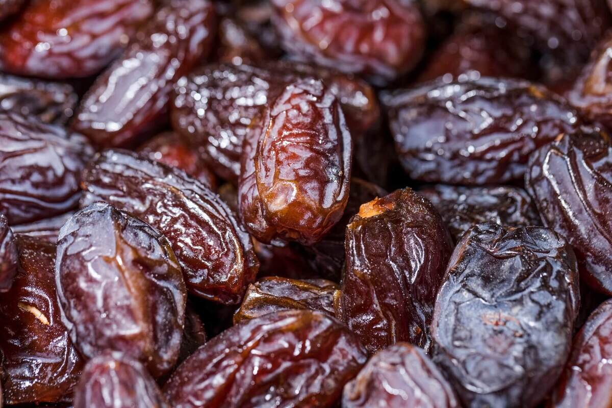 موجودی خرما ماه رمضان از سال گذشته بیشتر است