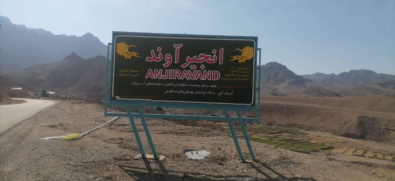 گلایه گردشگران روستای انجیرآوند اردکان از خشکسالی درختان + عکس