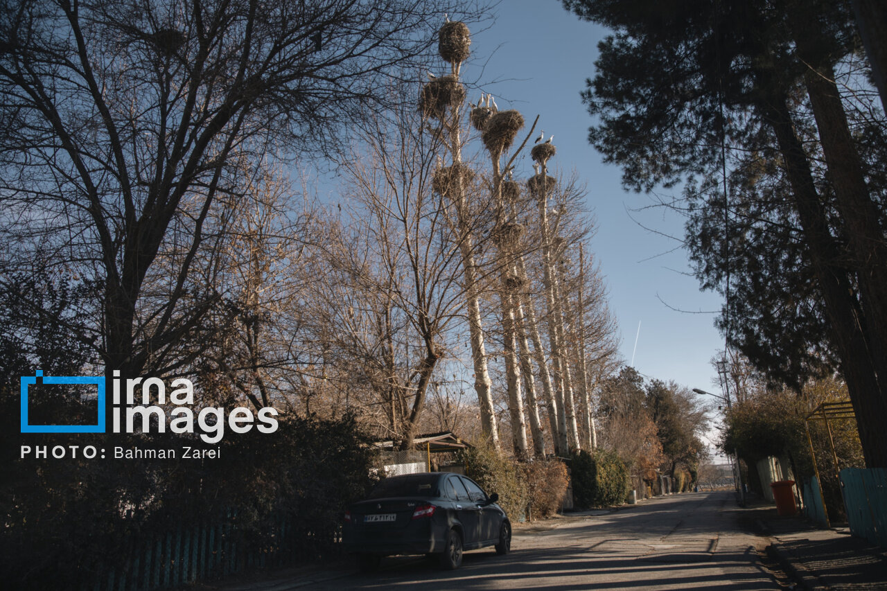 میان کوچ و ماندن