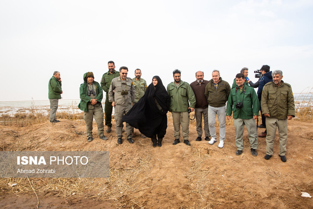 سرشماری پرندگان مهاجر «تالاب مُرِّه» در قم