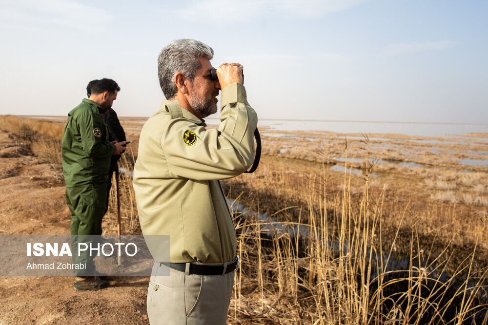 سرشماری پرندگان مهاجر «تالاب مُرِّه» در قم