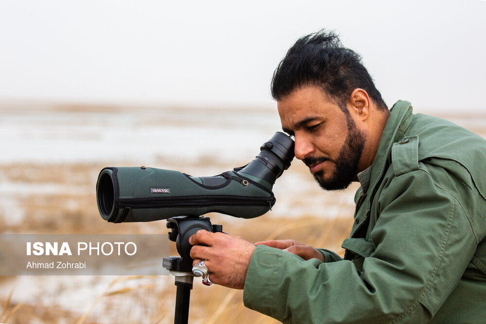 سرشماری پرندگان مهاجر «تالاب مُرِّه» در قم